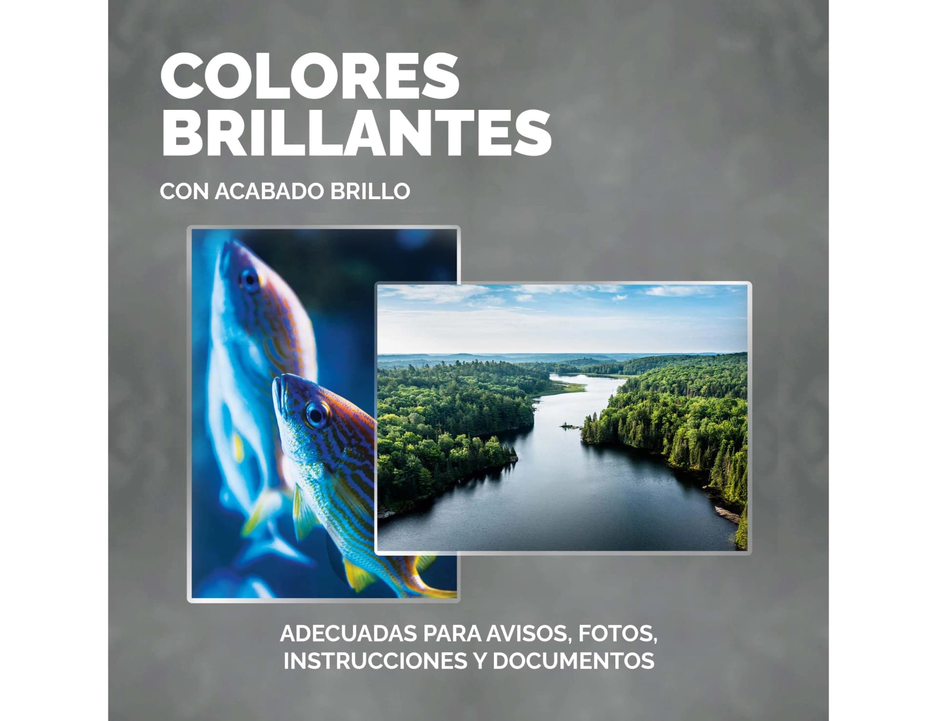 Bolsa de plastificar fellowes brillo 125 mc pack 100 unidades
