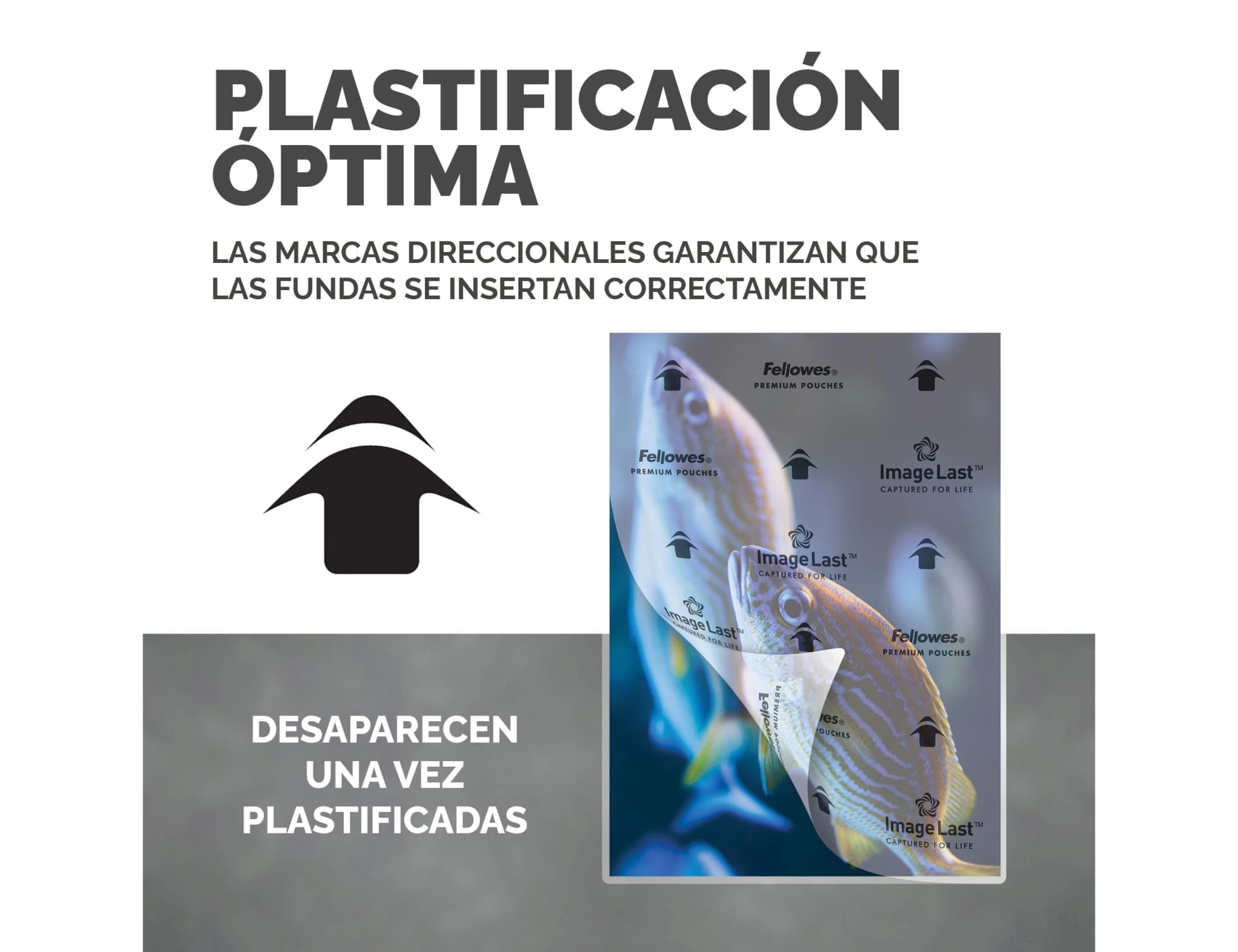 Bolsa de plastificar fellowes brillo 125 mc pack 100 unidades