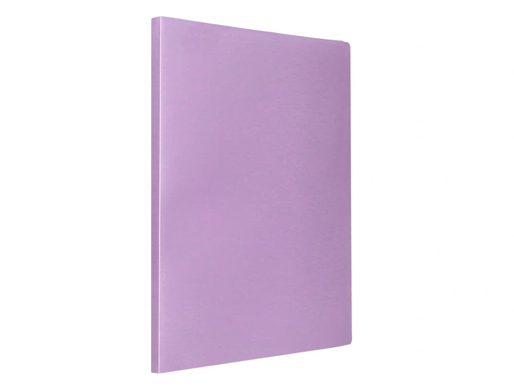 Carpeta liderpapel escaparate 60 fundas polipropileno din a4 opaco