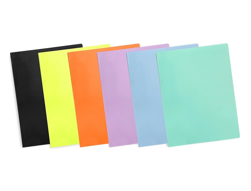 Carpeta liderpapel escaparate 60 fundas polipropileno din a4 opaco