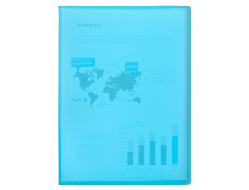 Carpeta liderpapel escaparate 80 fundas polipropileno din a4 translucido