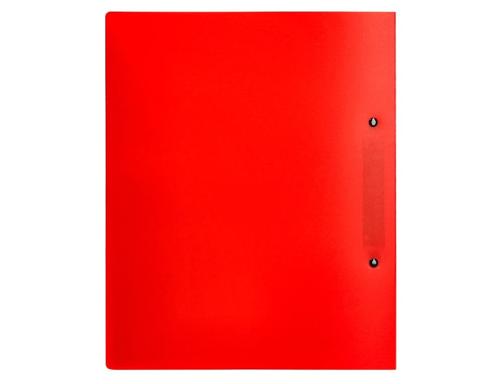 Carpeta liderpapel canguro 2 anillas 40 mm mixtas polipropileno din a4