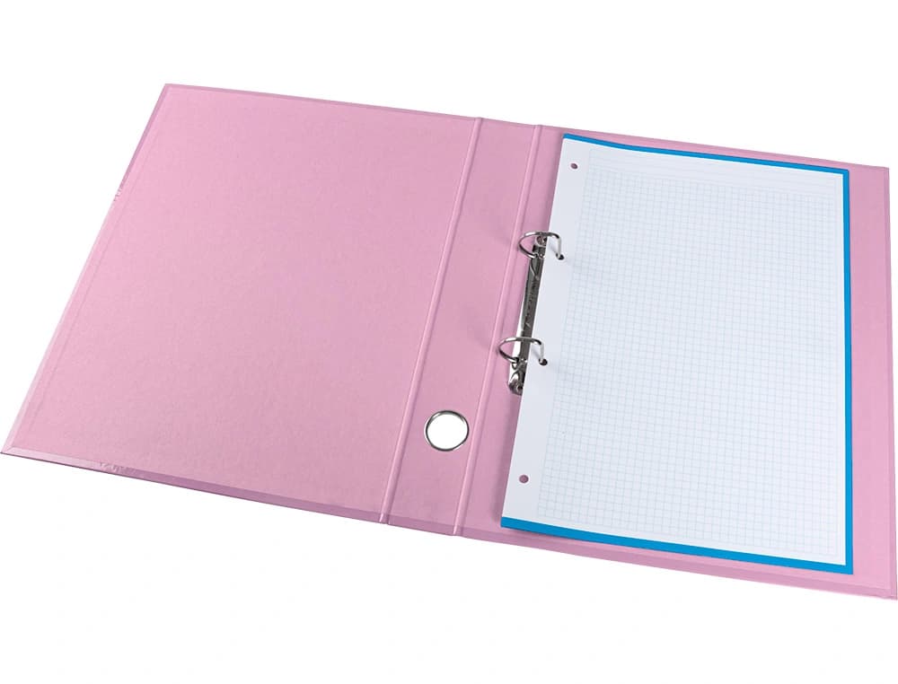 Carpeta de 2 anillas 25 mm mixtas liderpapel a4 forrado color system con ollao y tarjetero