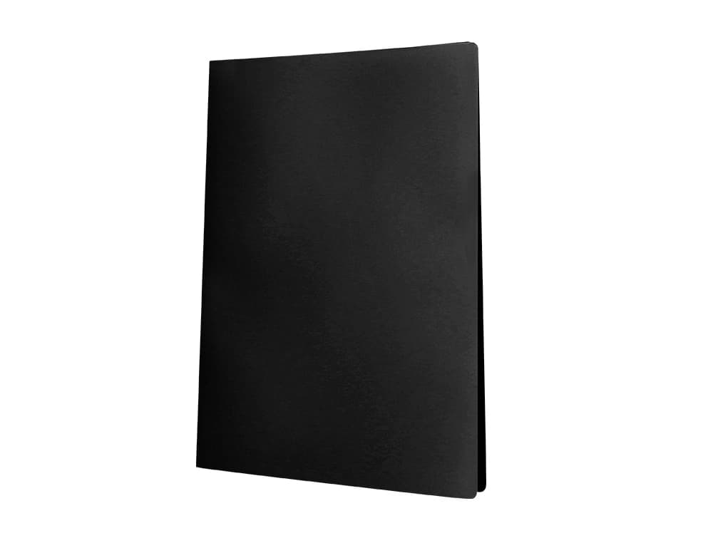 Carpeta liderpapel escaparate 40 fundas polipropileno opaco