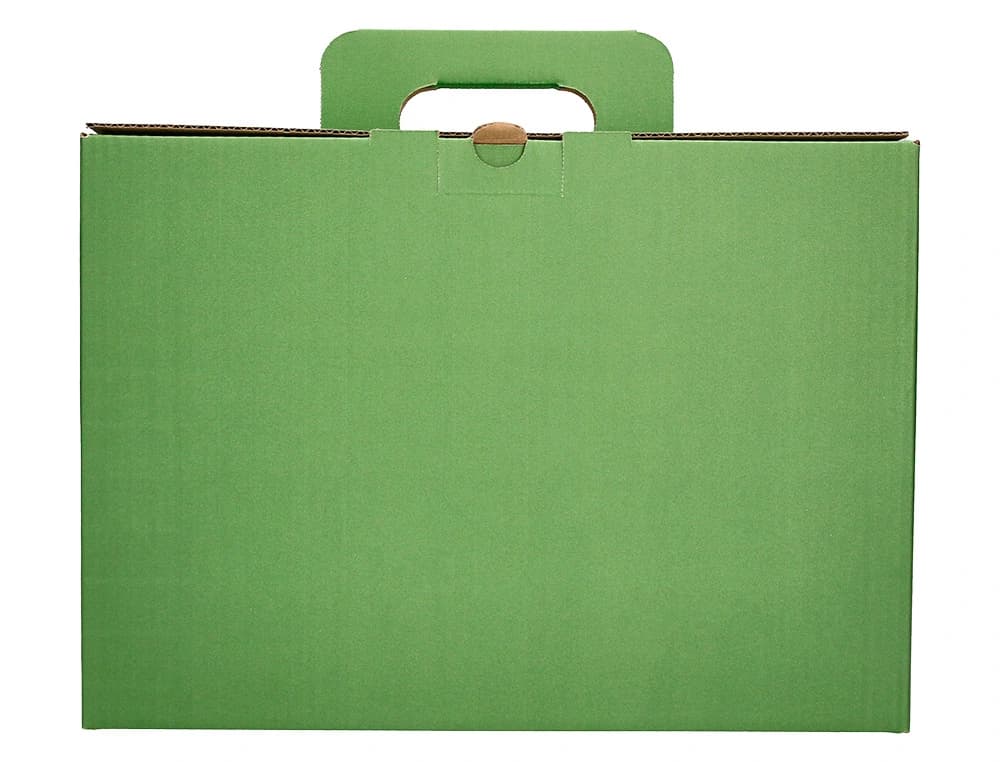 Caja archivador definitivo liderpapel carton reforzado con asa color verde cheque libro 393x120x279mm