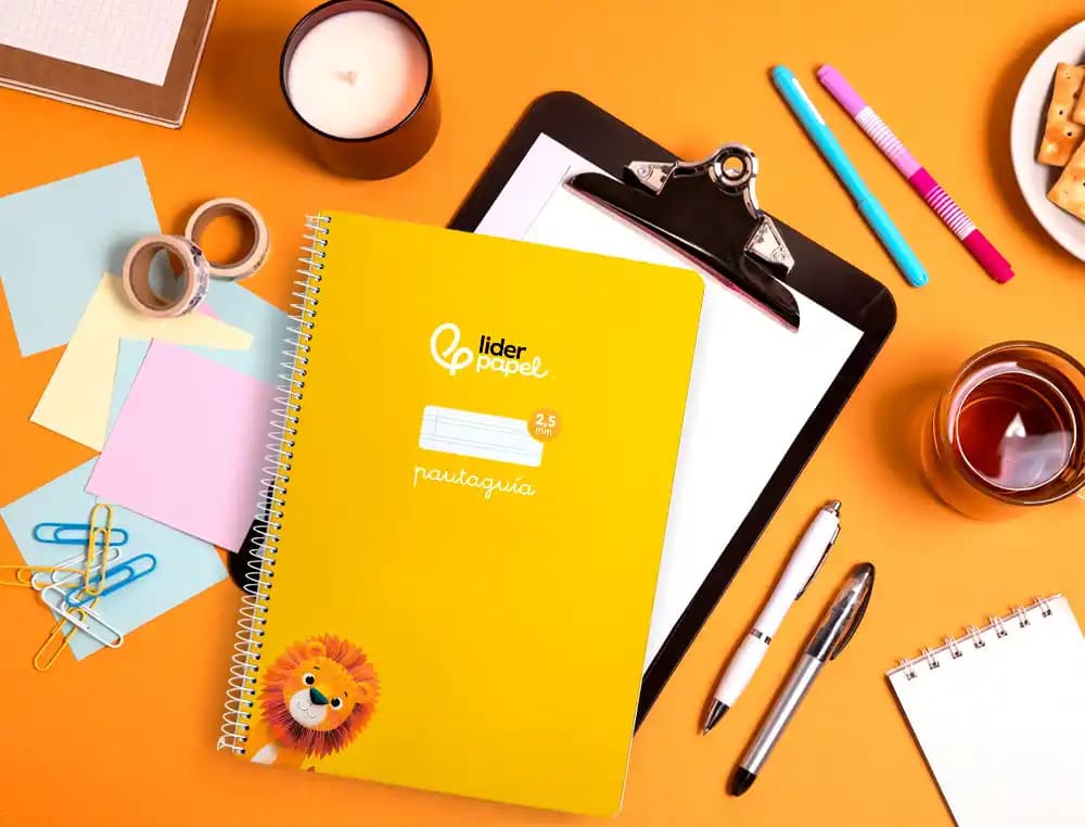Cuaderno espiral liderpapel a4 pautaguia tapa blanda 80h 75gr cuadro pautado 2,5mm