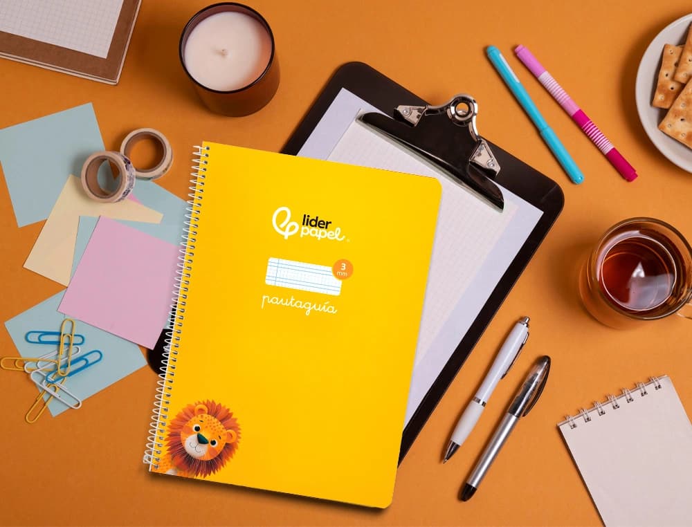 Cuaderno espiral liderpapel a4 pautaguia tapa blanda 80h 75gr cuadro pautado 3mm