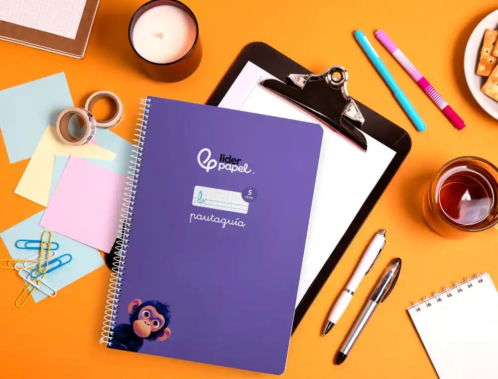 Cuaderno espiral liderpapel a4 pautaguia tapa blanda 80h 75gr cuadro pautado 5mm