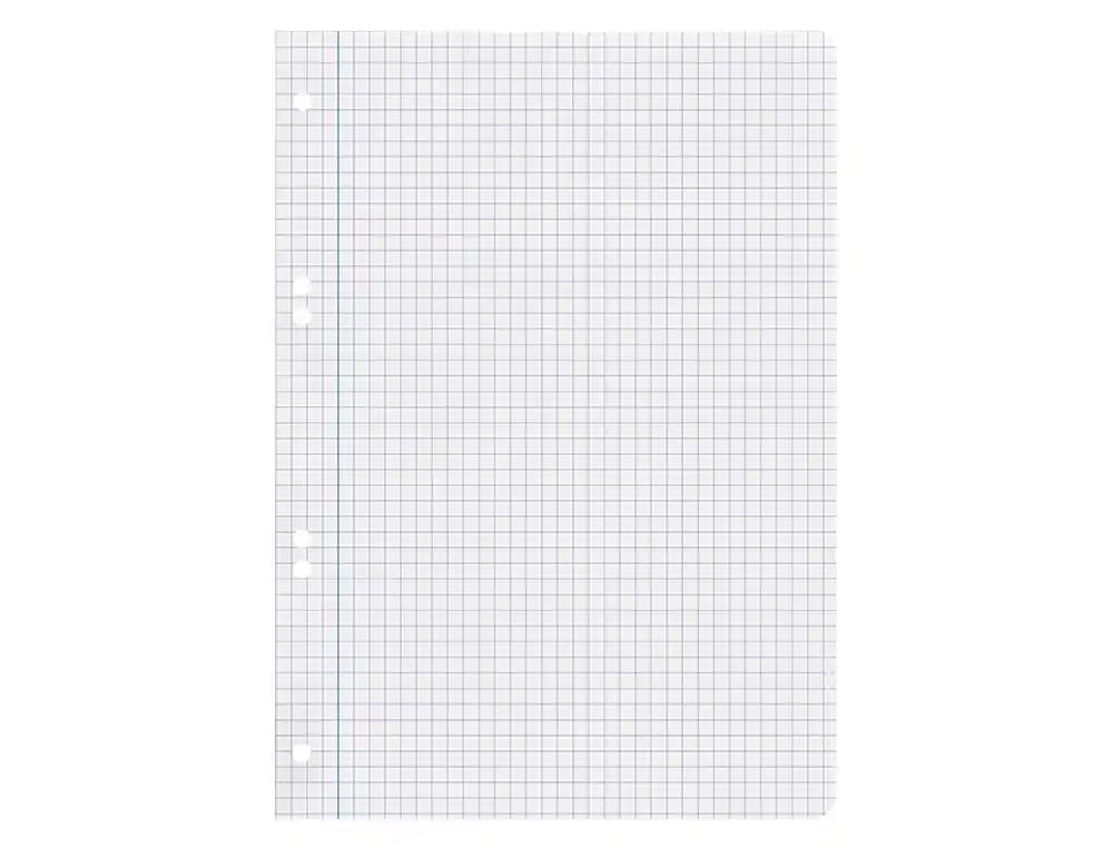 Recambio liderpapel a5 100 hojas 75gr cuadro 6mm con margen 6 taladros