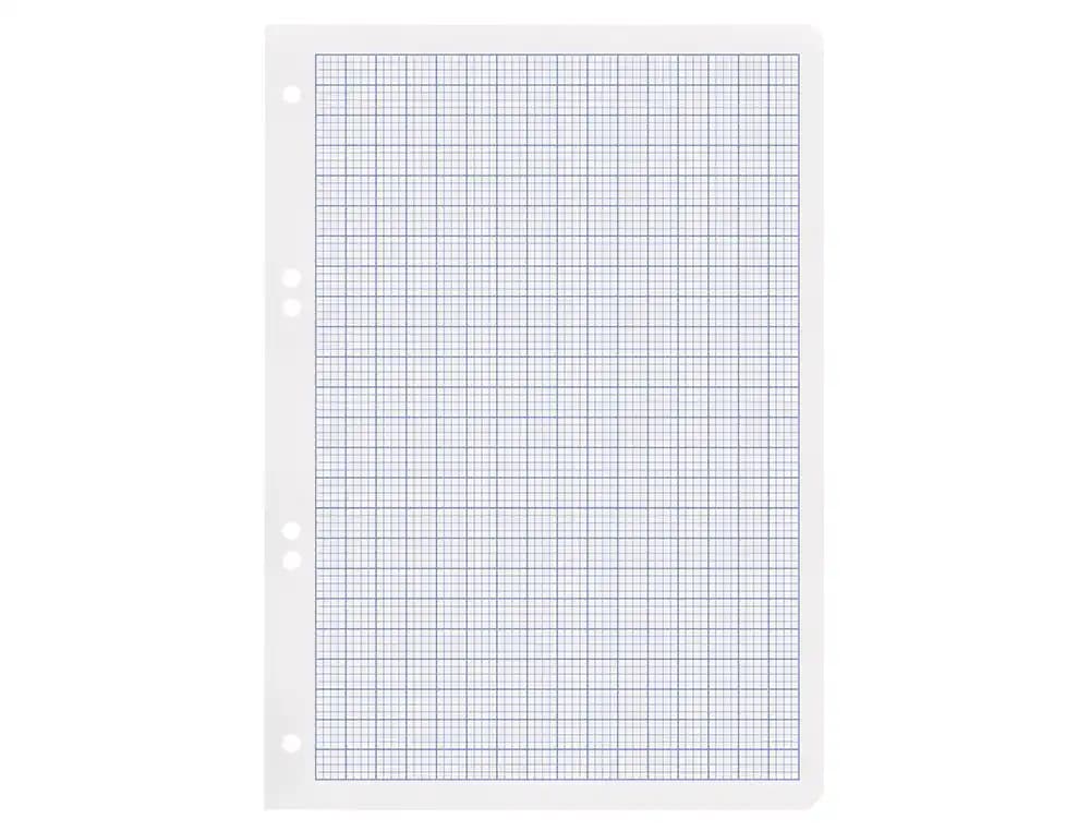 Recambio liderpapel din a5 100 hojas 75gr rayado nº 46 6 taladros