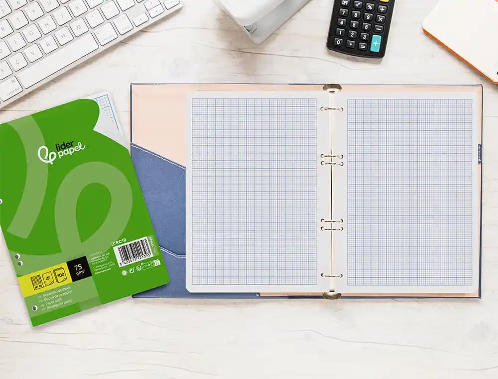 Recambio liderpapel din a5 100 hojas 75gr rayado nº 46 6 taladros