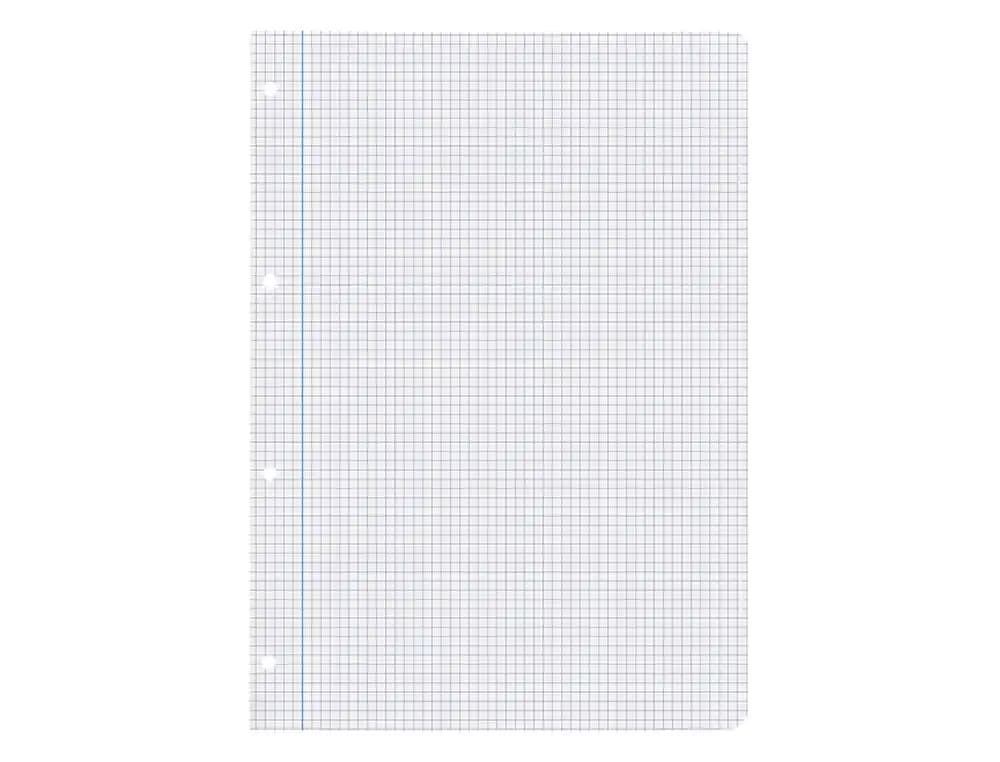 Recambio liderpapel a4 80 hojas 75gr cuadro 4 mm con margen 4 taladros