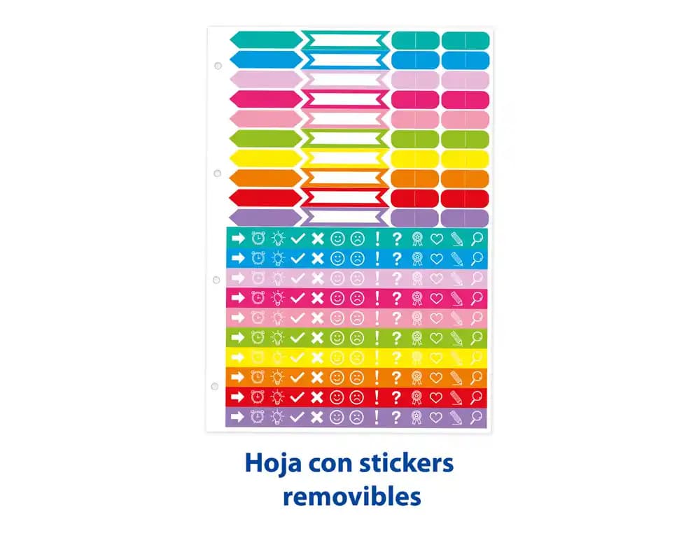 Pack carpeta Oxford EuropeanBinder Live&Go A4+ + recambio 80h + juego 5 separadores