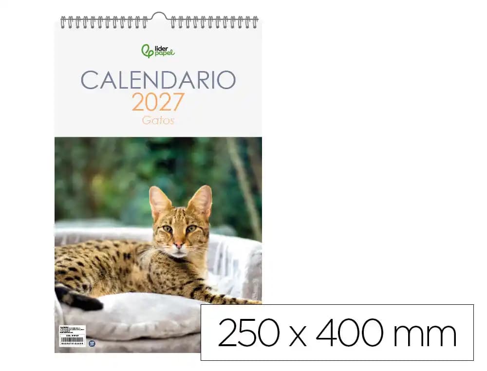 Liderpapel Calendario de pared para escribir 2027 Liderpapel, imágenes de gatos, espiral, 250 × 400 mm