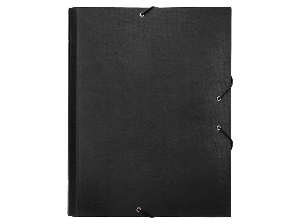 Carpeta clasificadora liderpapel 12 departamentos folio prolongado carton forrado