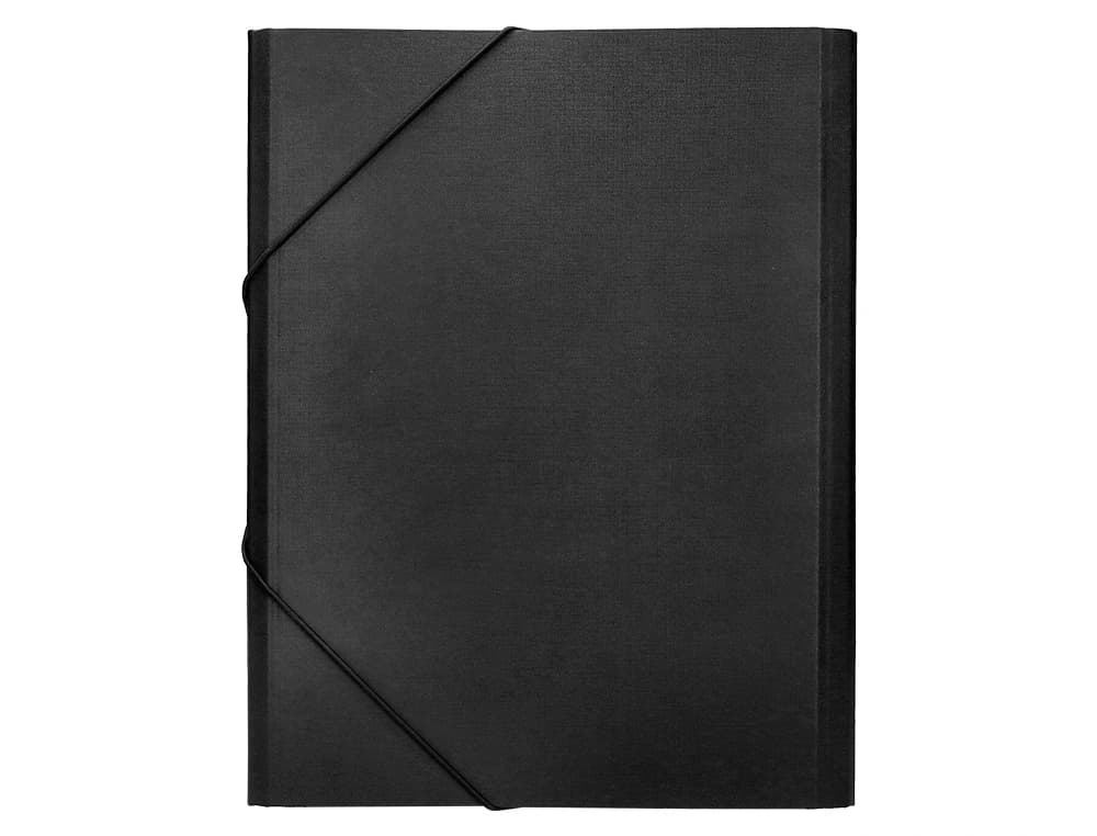 Carpeta clasificadora liderpapel 12 departamentos folio prolongado carton forrado