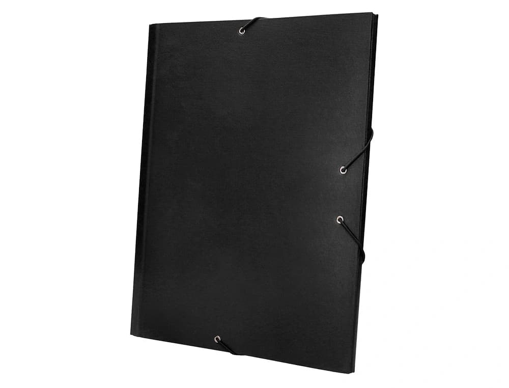 Carpeta clasificadora liderpapel 12 departamentos folio prolongado carton forrado