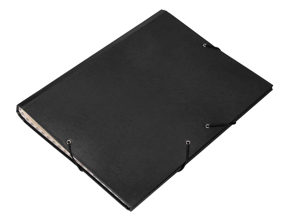 Carpeta clasificadora liderpapel 12 departamentos folio prolongado carton forrado
