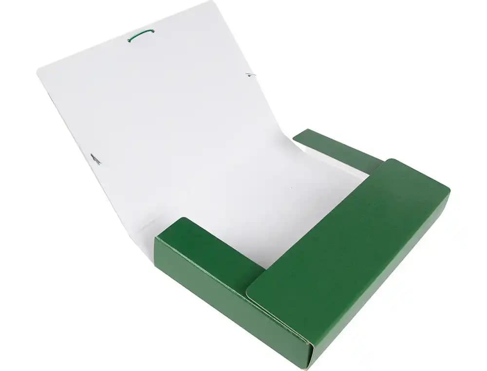Carpeta proyectos liderpapel carton forrado