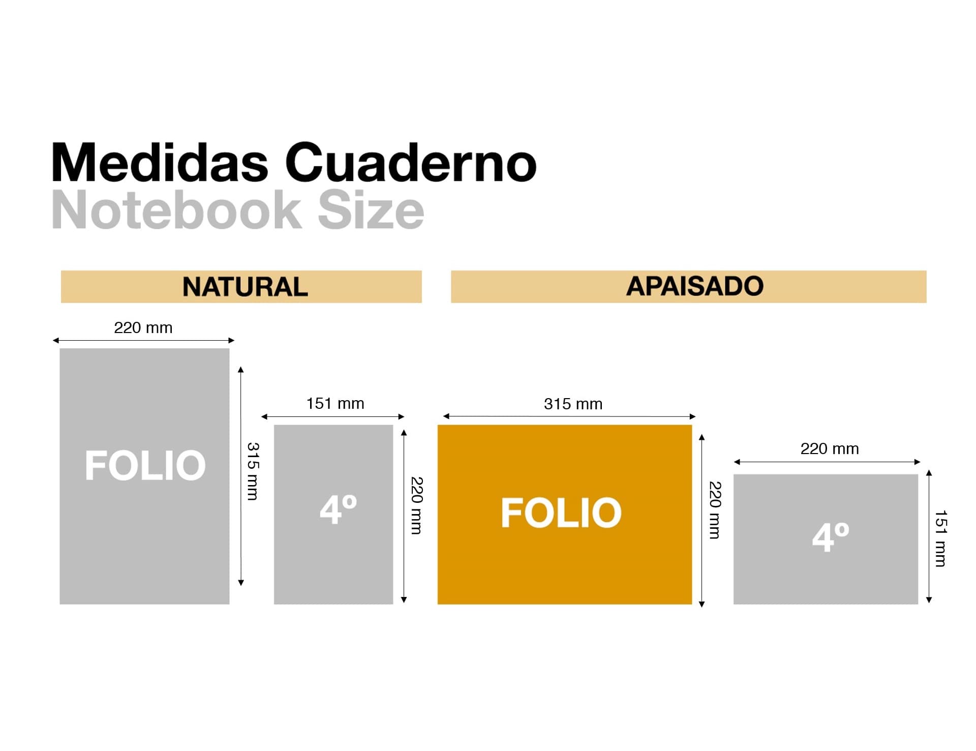 Libro miquelrius cartone 3040 folio apaisado horizontal