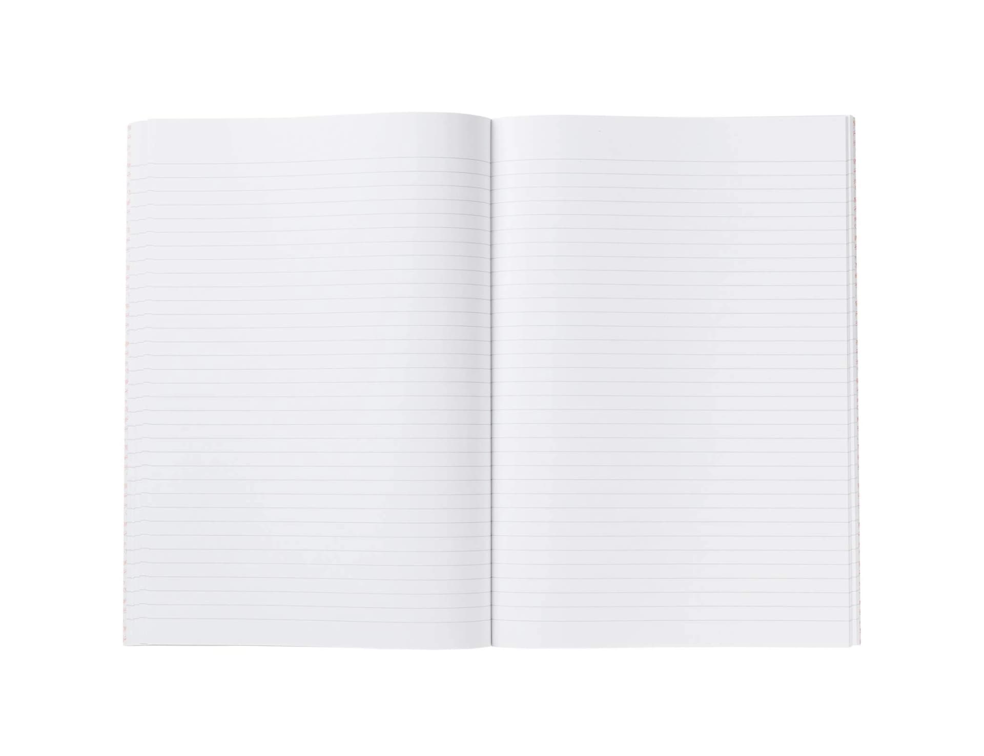 Libro miquelrius cartone 3040 folio apaisado horizontal