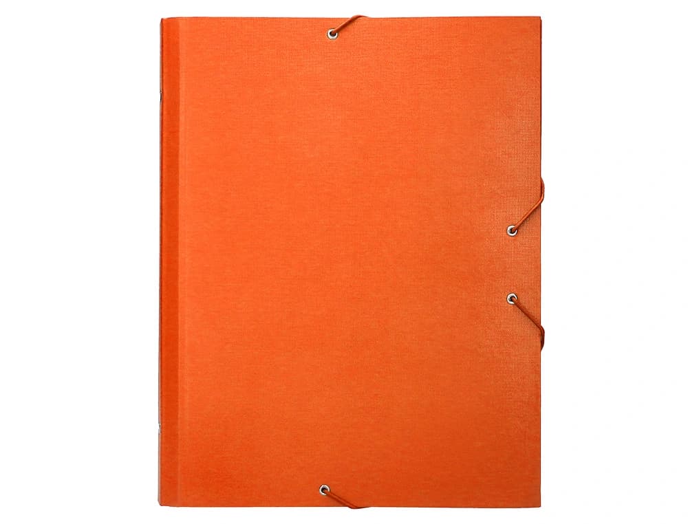 Carpeta clasificadora Liderpapel folio prolongado de cartón forrado con 12 departamentos – Naranja