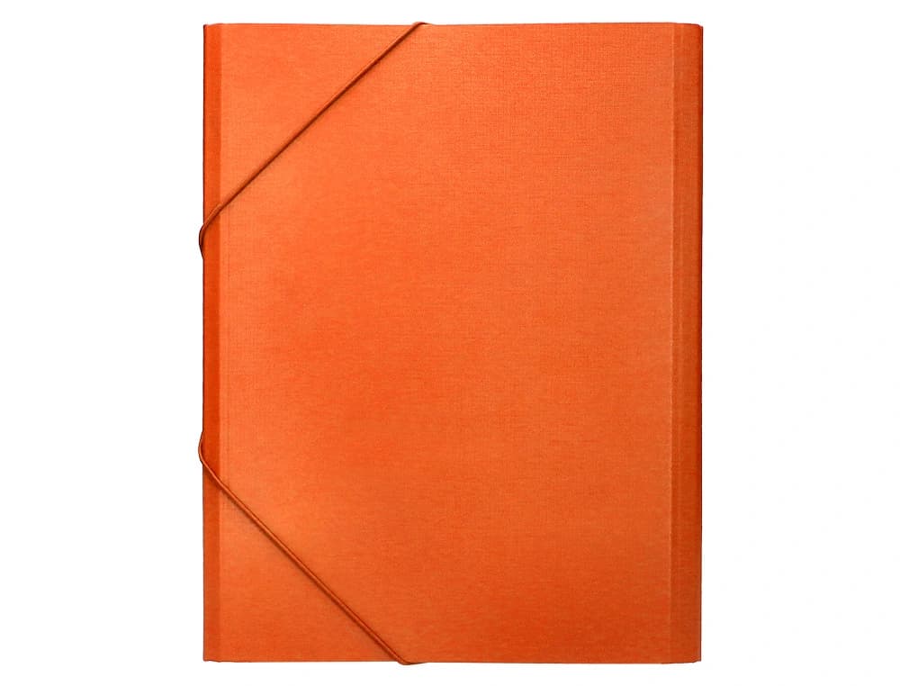Carpeta clasificadora Liderpapel folio prolongado de cartón forrado con 12 departamentos – Naranja