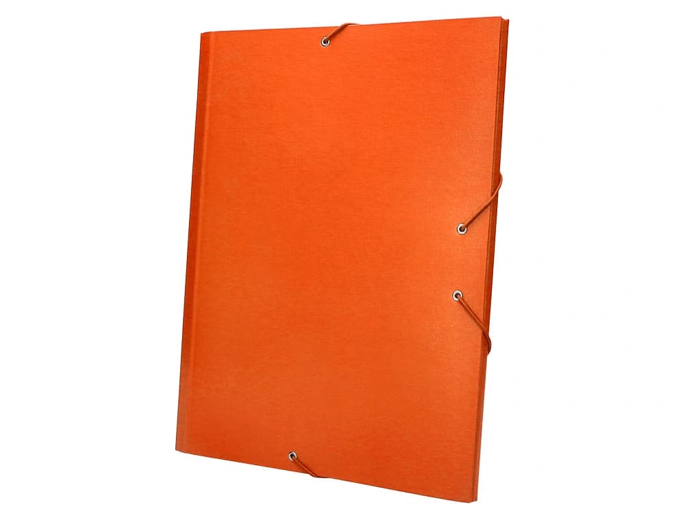 Carpeta clasificadora Liderpapel folio prolongado de cartón forrado con 12 departamentos – Naranja