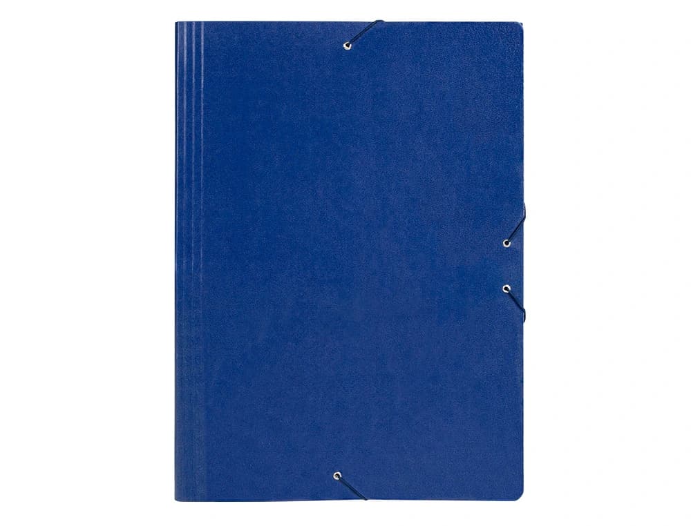 Carpeta planos liderpapel a3 carton gofrado n 12