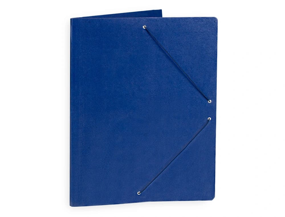 Carpeta planos liderpapel a3 carton gofrado n 12