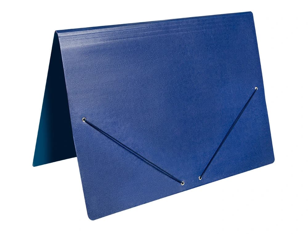 Carpeta planos liderpapel a3 carton gofrado n 12