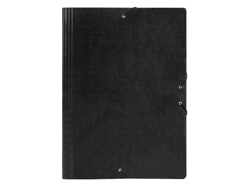 Carpeta planos liderpapel a2 carton gofrado n 12
