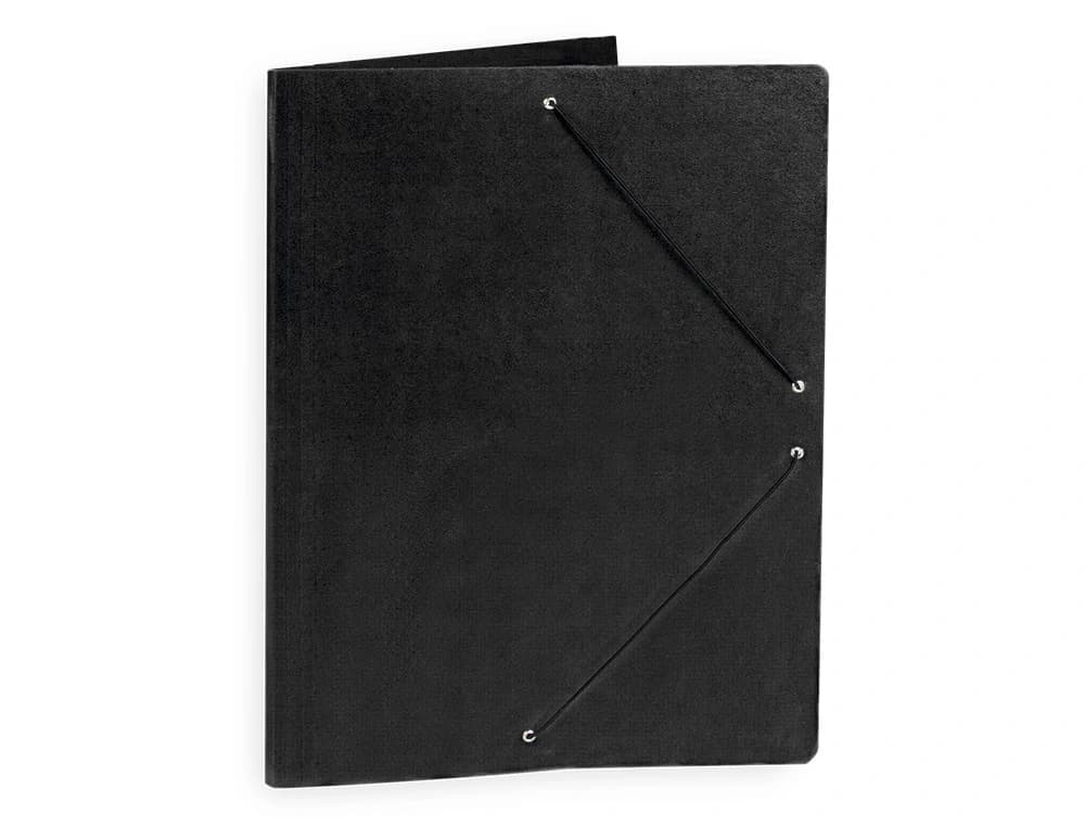Carpeta planos liderpapel a2 carton gofrado n 12