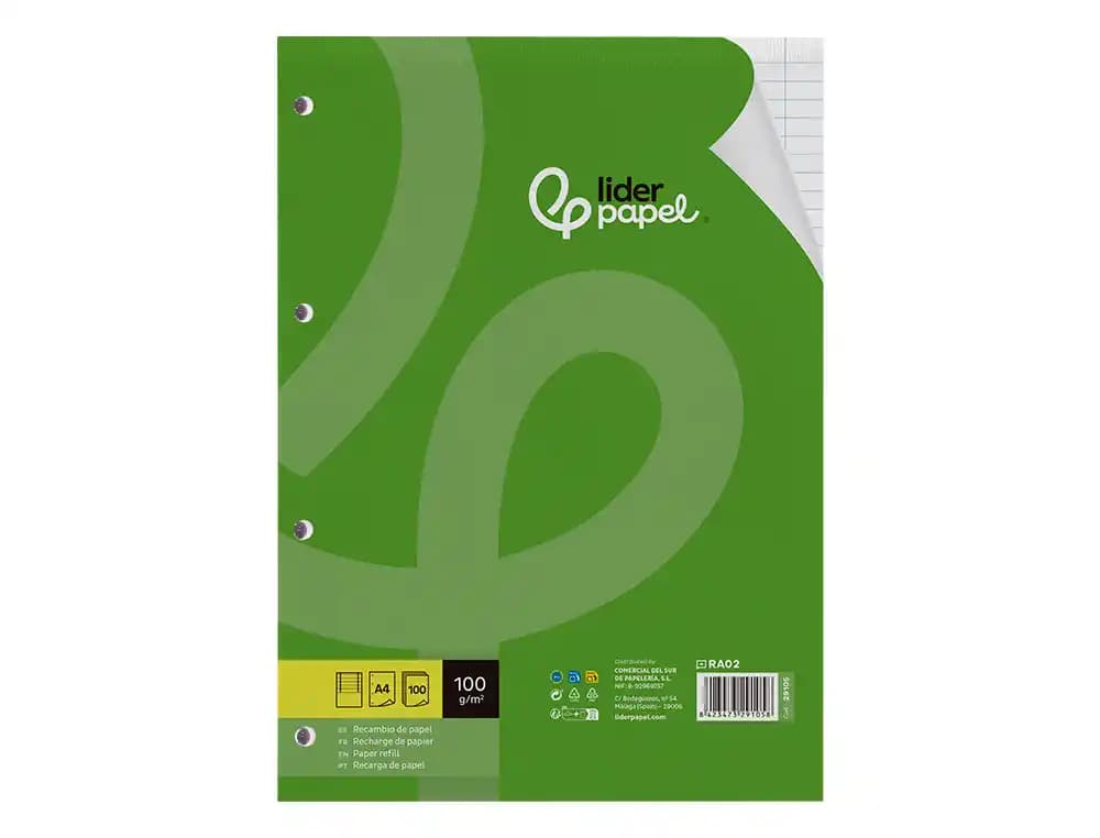 Recambio liderpapel a4 100 hojas 100gr horizontal con doble margen 4 taladros