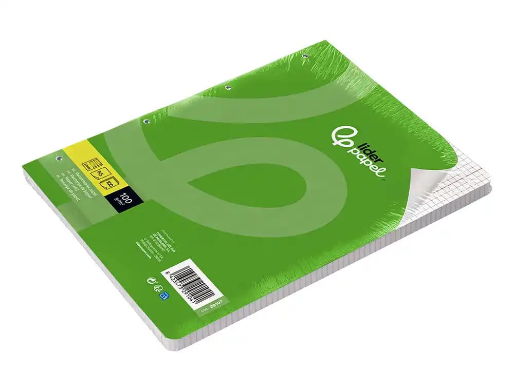 Recambio liderpapel a5 100 h 100gr cuadro 5mm con m argen 6 taladros