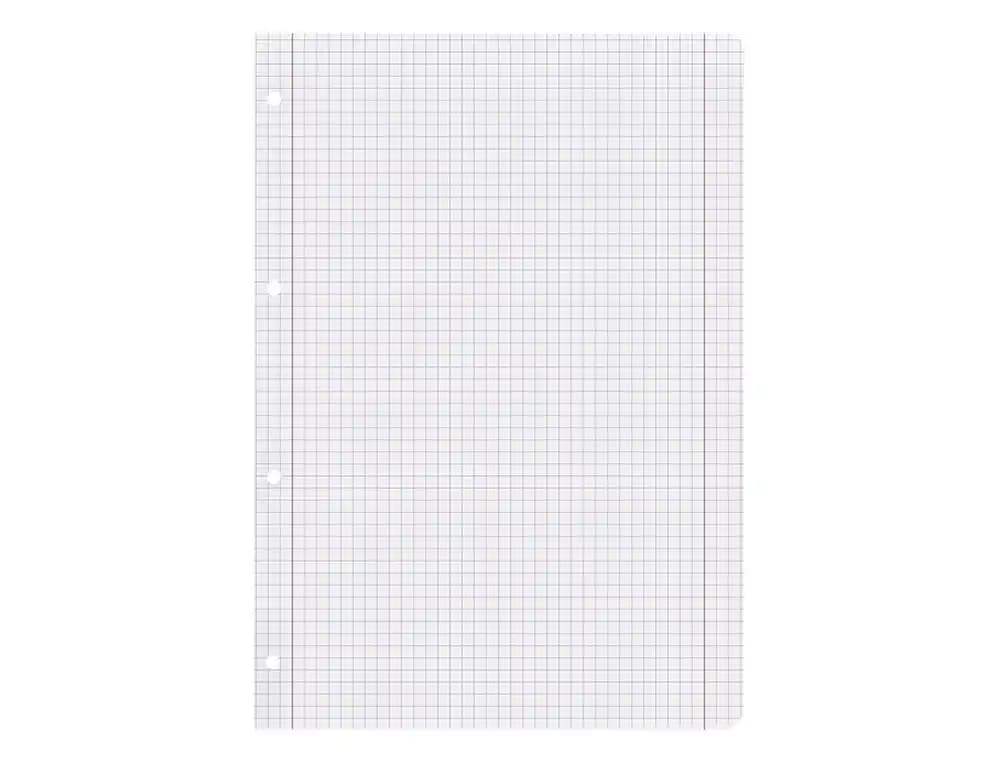 Recambio liderpapel a5 100 h 100gr cuadro 5mm con m argen 6 taladros