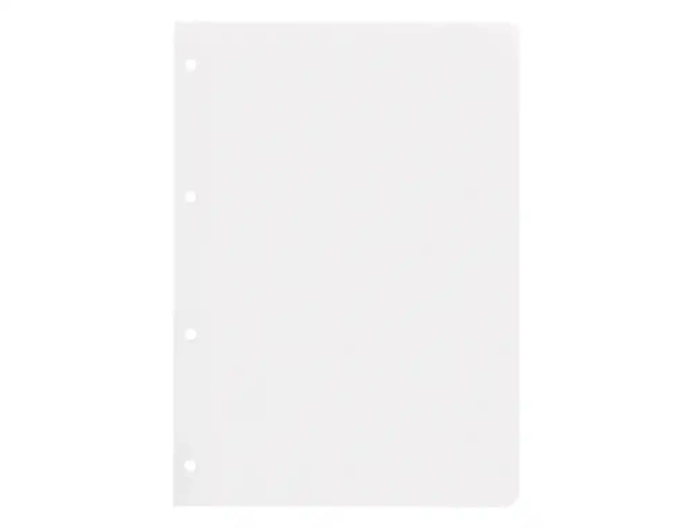 Recambio liderpapel a5 100h 100gr liso doble margen 6 taladros
