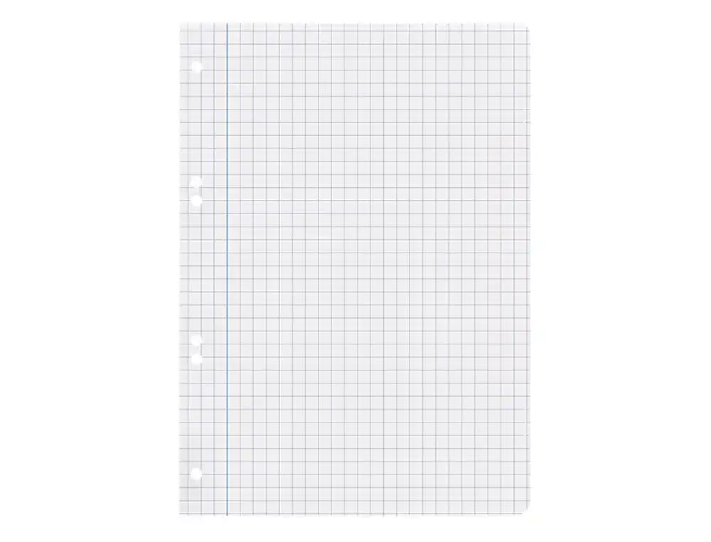 Recambio liderpapel cuarto 100 hojas 60gr cuadro 8mm con margen 6 taladros