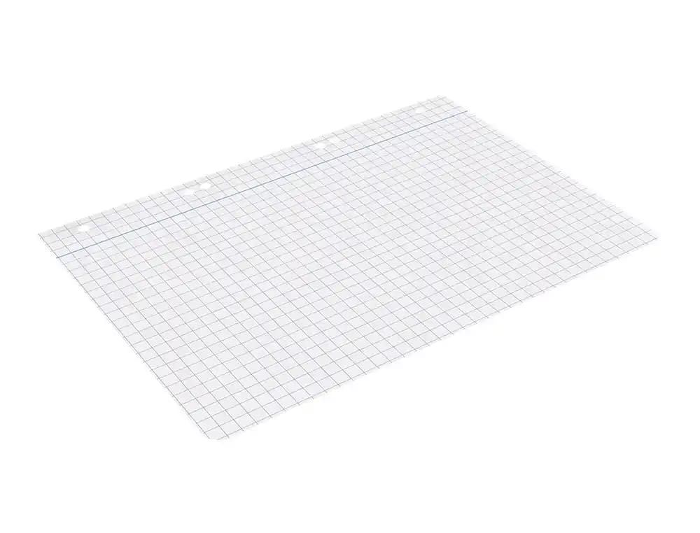 Recambio liderpapel cuarto 100 hojas 60gr cuadro 8mm con margen 6 taladros