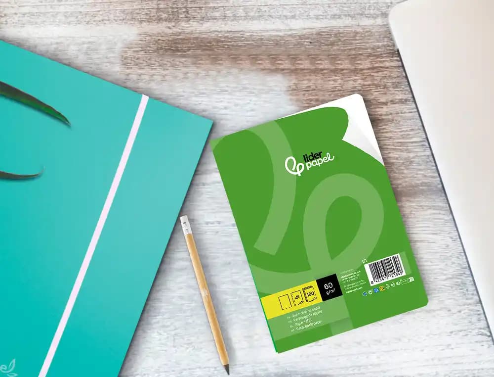Recambio liderpapel cuarto 100 hojas 60gr liso sin margen 6 taladros