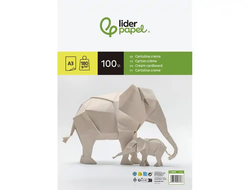 Cartulina liderpapel paquete de 100 hojas