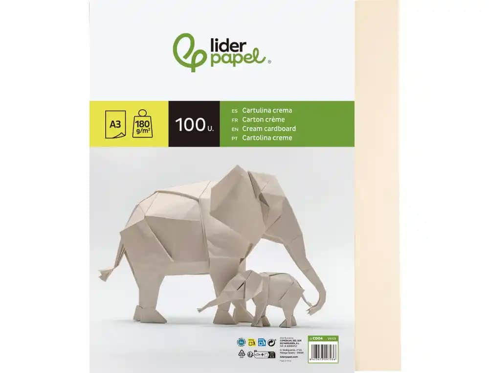 Cartulina liderpapel paquete de 100 hojas