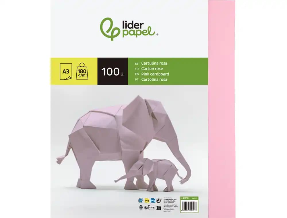Cartulina Liderpapel de colores, paquete de 100 hojas – Rosa
