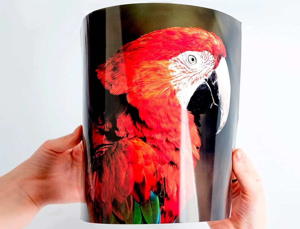 Papel q-connect foto glossy kf02163 din a4 alta calidad digital photo para ink-jet bolsa de 20 hojas de 260 gr