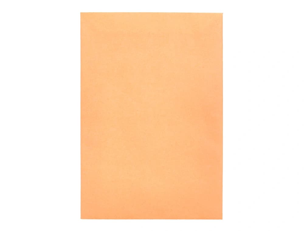Sobre liderpapel bolsa n.0 cel caña salarios 100x145mm tira silicona caja de 1000 unidades