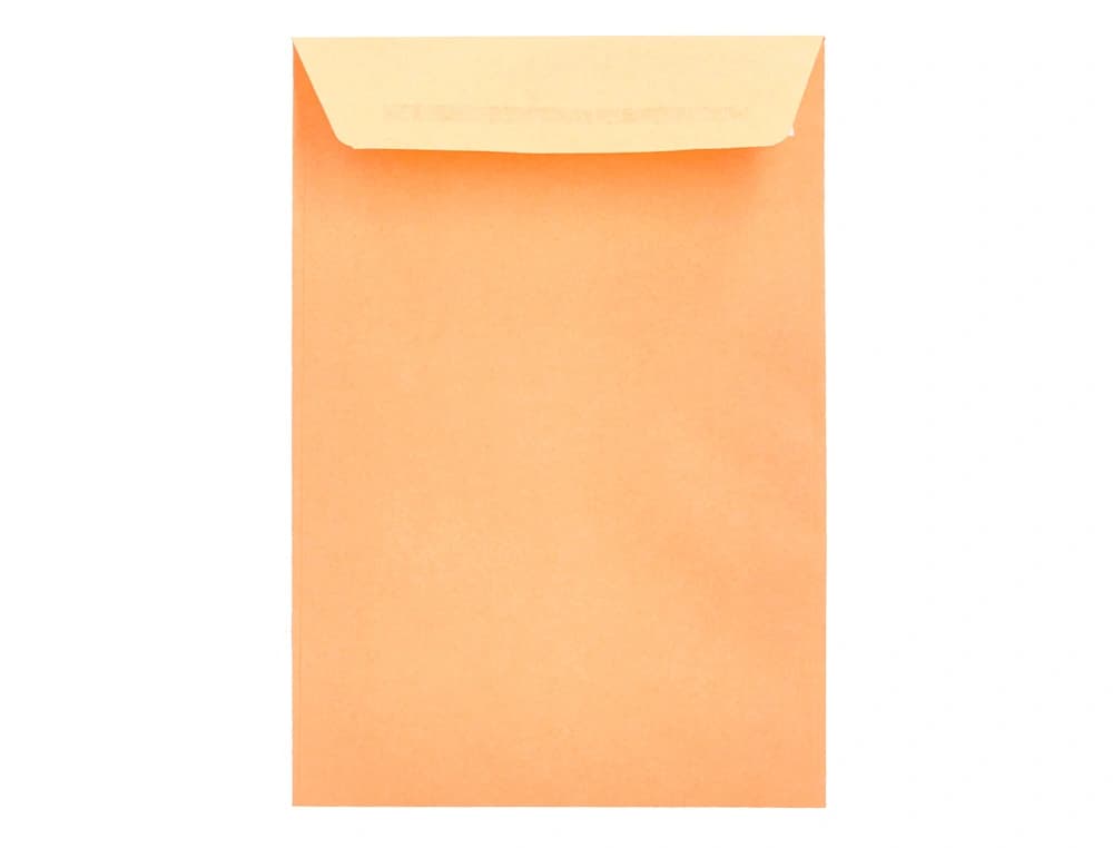 Sobre liderpapel bolsa n.0 cel caña salarios 100x145mm tira silicona caja de 1000 unidades
