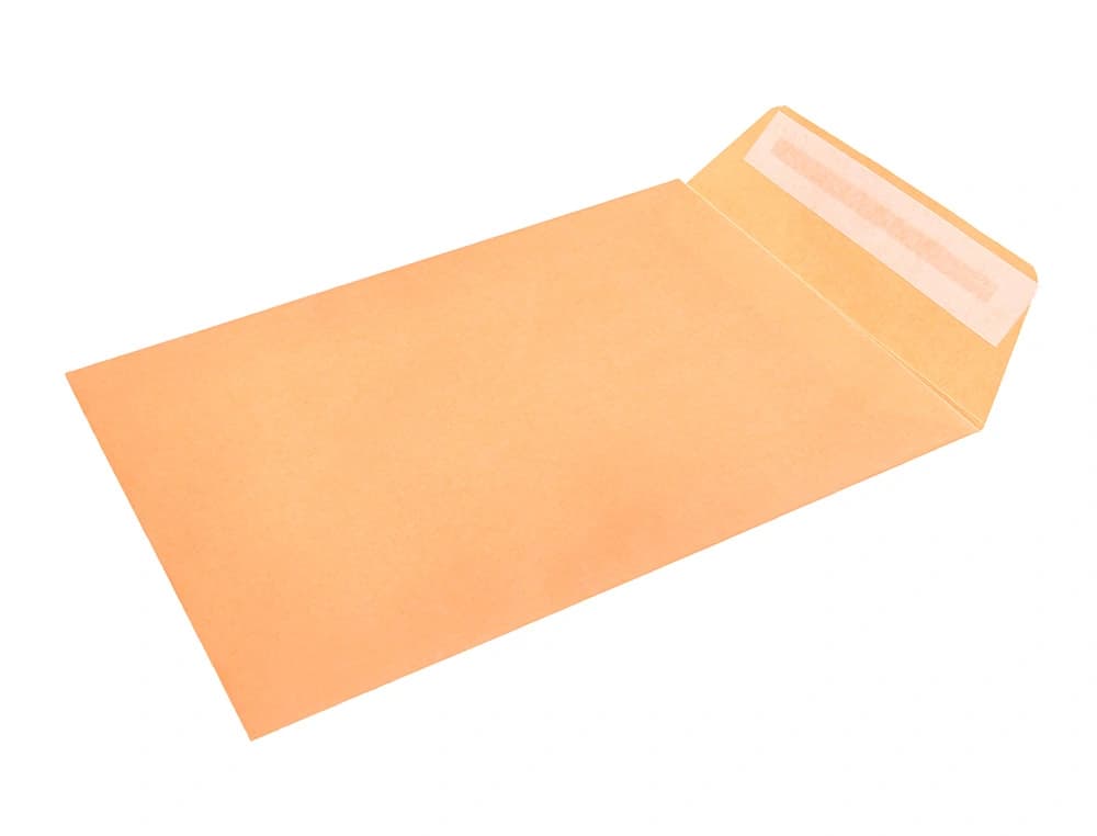 Sobre liderpapel bolsa n.0 cel caña salarios 100x145mm tira silicona caja de 1000 unidades