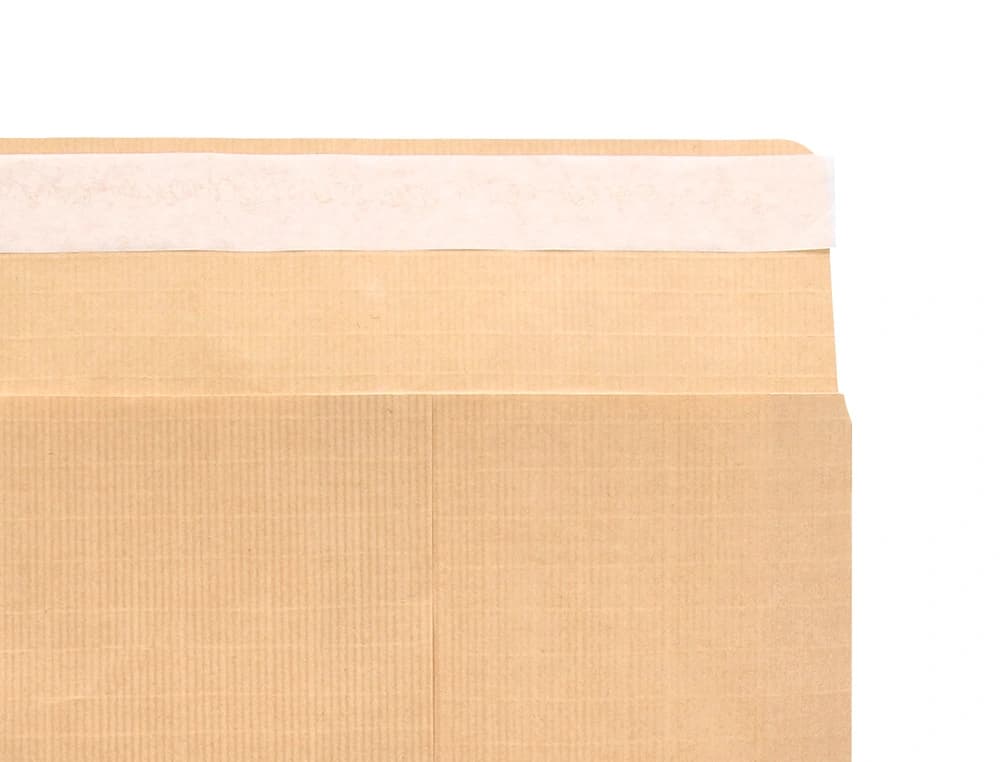 Sobre liderpapel bolsa n.1 kraft salarios 100x145 mm tira silicona caja de 1000 unidades