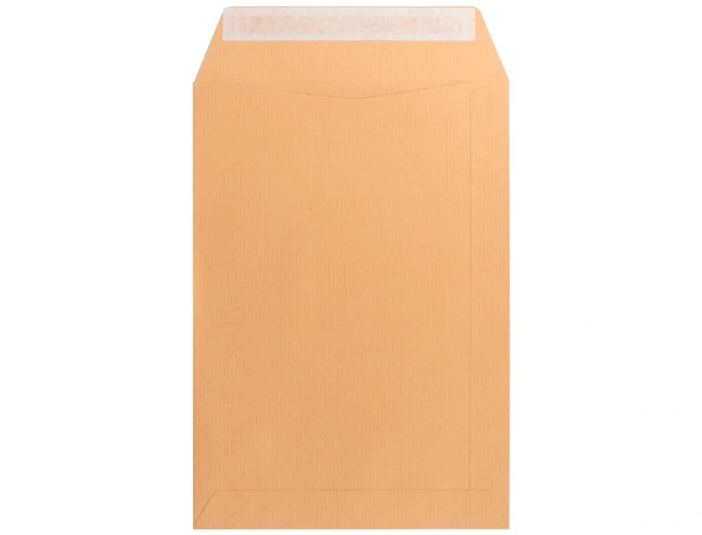 Sobre liderpapel bolsa n.2 kraft salarios 120x170 mm tira de silicona caja de 1000 unidades