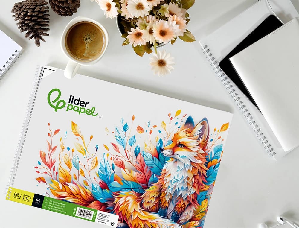 Bloc dibujo liderpapel escolar espiral 230x325mm 20 hojas 90 gr/m2 con recuadro